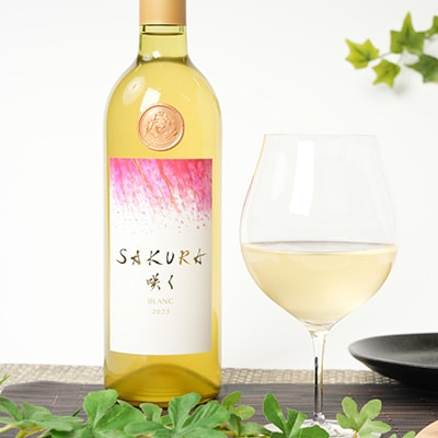 【数量限定】佐倉産初!ワイン　厳選3本セット　赤・白・オレンジワイン