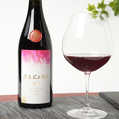 【数量限定】佐倉産初!ワイン　厳選3本セット　赤・白・オレンジワイン