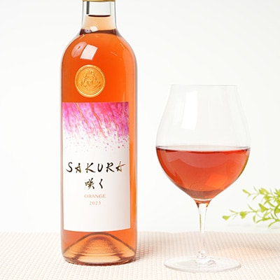 【数量限定】佐倉産初!ワイン　厳選3本セット　赤・白・オレンジワイン