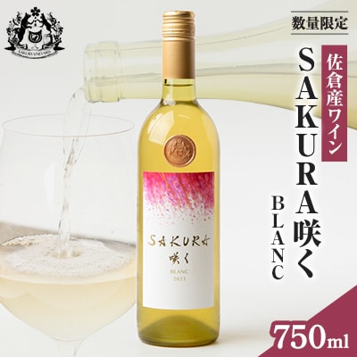 【数量限定】佐倉産初のワイン!混醸辛口白ワイン　750ml×1本