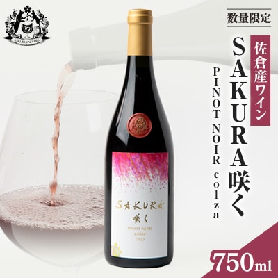 【数量限定】佐倉産初のワイン!ピノ・ノワール2023　750ml×1本