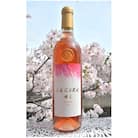 【数量限定】佐倉産初のワイン!ピノ・グリのオレンジワイン　720ml×1本