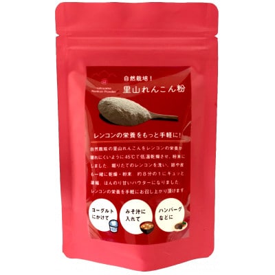 里山れんこんパウダー　100g