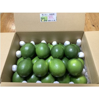 レモン　3.0kg