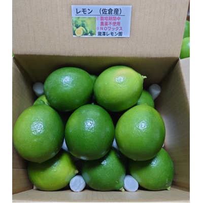 レモン 1.5kg(8個~15個)