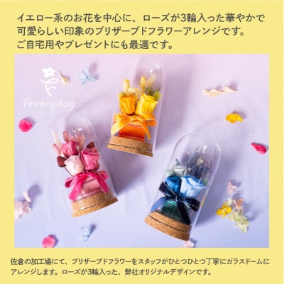 プリザーブドフラワーローズドーム イエロー系 お祝いやお誕生日におすすめ