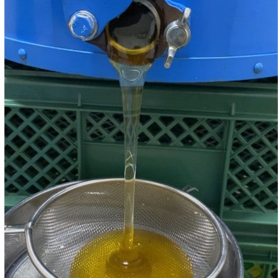 千葉県佐倉市産 百花蜂蜜 食べ比べセット(計3本)