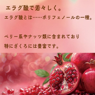 スジャータめいらく　ざくろ100%　1000ml　6本セット