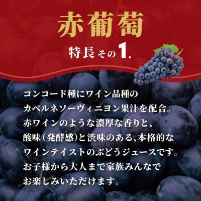 スジャータめいらく　赤葡萄　100%　1000ml　6本セット