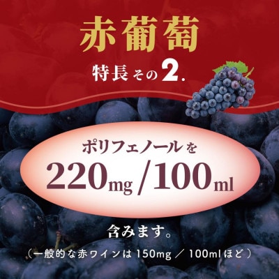 スジャータめいらく　赤葡萄　100%　1000ml　6本セット