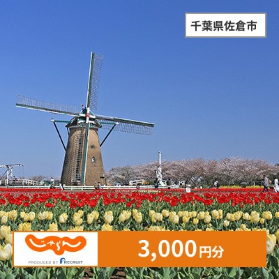 【じゃらんふるさと納税クーポン】 千葉県佐倉市でつかえる3,000円 クーポン