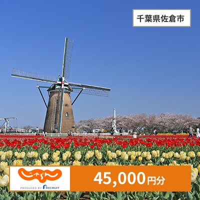 【じゃらんふるさと納税クーポン】 千葉県佐倉市でつかえる45,000円 クーポン