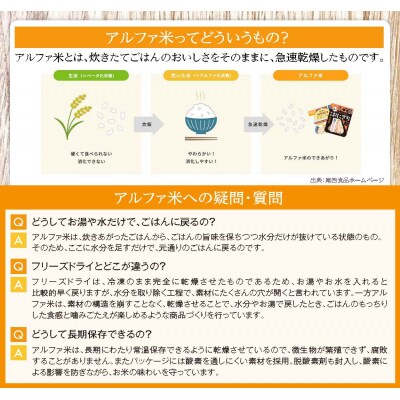 【5年保存】 尾西の携帯おにぎり12個セット アルファ米 防災 備蓄 保存食 非常食 ライス ごはん