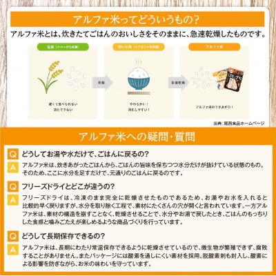 【5年保存】 尾西の携帯おにぎり16個セット アルファ米 防災 備蓄 保存食 非常食 ライス ごはん