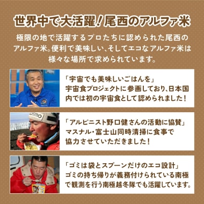 【5年保存】尾西のごはん 和風4種12個セット アルファ米 防災 備蓄 保存食 アウトドア ライス