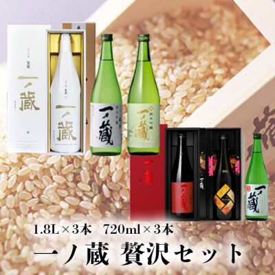 一ノ蔵 日本酒 贅沢6本セット 純米大吟醸 純米吟醸 お酒 地酒 ギフト 贈答品 飲み比べ 大容量