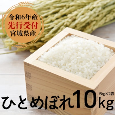 宮城県大崎市令和6年ひとめぼれ20キロ【玄米】