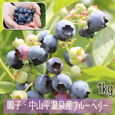 鳴子・中山平温泉産 ブルーベリー1kg