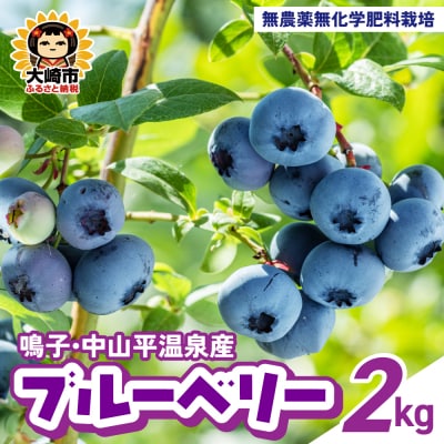 鳴子・中山平温泉産 ブルーベリー 2kg 冷凍 フルーツ ジャム スムージー 国産 大容量 業務用