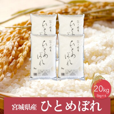 《精米》令和6年産 宮城県産ひとめぼれ5kg×4袋