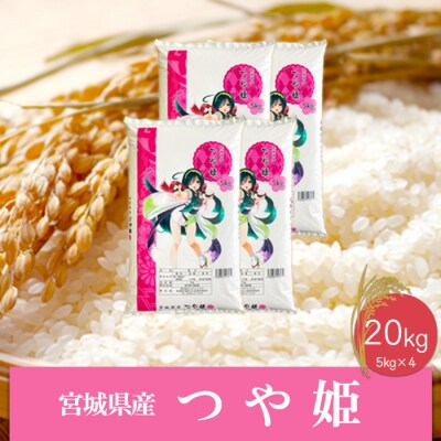 令和3年 山形県庄内産 食べ比べセット 白米10kg Gセレクション