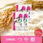 《精米》令和6年産 宮城県産つや姫20kg