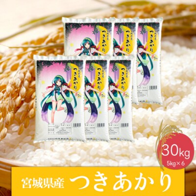 《精米》令和6年産 宮城県産つきあかり30kg