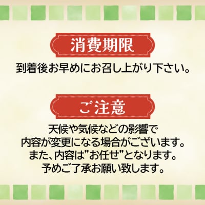 《宮城県大崎市産》旬の野菜詰合せセット 10～15品 旬 厳選 産地直送 セット お楽しみ おまかせ