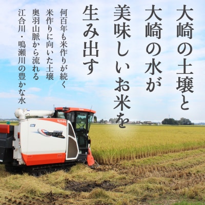 たきたて・ささ結・つや姫食べ比べセット【2025年産】