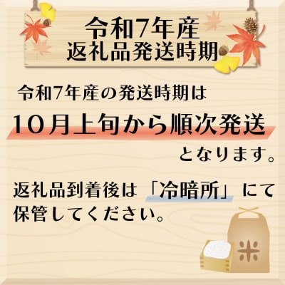 たきたて・ささ結・つや姫食べ比べセット【2025年産】