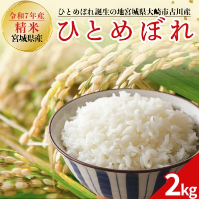令和7年産 新米 大崎市古川産ひとめぼれ 2kg|宮城県産ブランド米