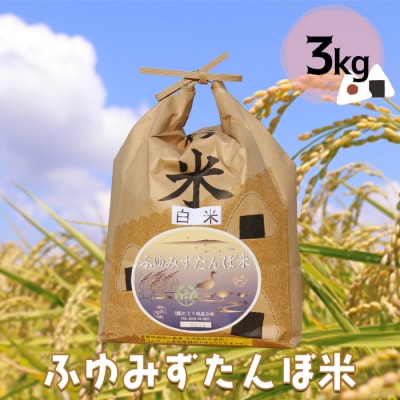 大崎市田尻産「ふゆみずたんぼ米」3kg【2025年産】