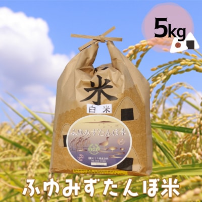 大崎市田尻産「ふゆみずたんぼ米」5kg【2025年産】