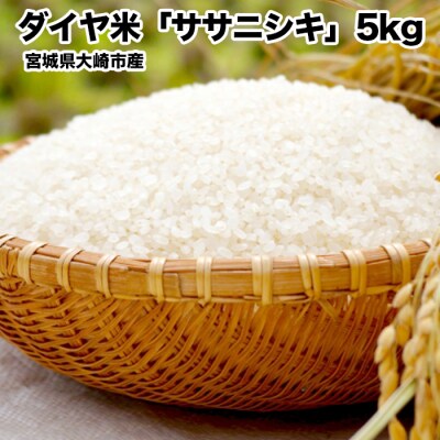 《令和7年産》ダイヤ米宮城県大崎市産ササニシキ【白米5kg】