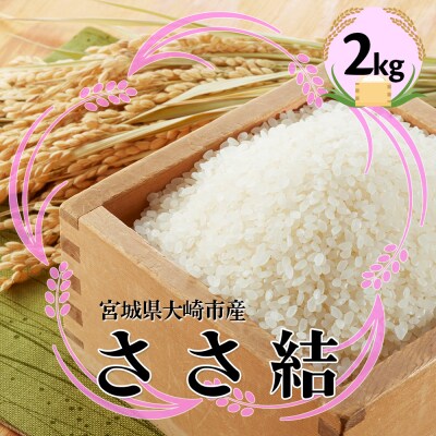 宮城県産ブランド米 令和7年産 ささ結 2kg|炊きたてはもちろん冷めても美味しい白米
