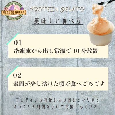 無脂肪乳で作るプロテイン入りジェラート