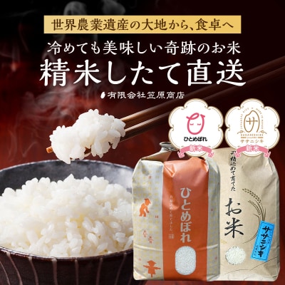 宮城県大崎市 世界農業遺産の米どころ直送 ひとめぼれ・ササニシキセット 各5kg