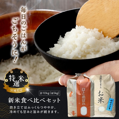 宮城県大崎市 世界農業遺産の米どころ直送 ひとめぼれ・ササニシキセット 合計10kg