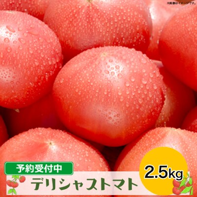 高級トマト 糖度7度以上 デリシャストマト 2.5kg トマト フルーツ サラダ 甘さ 酸味 限定