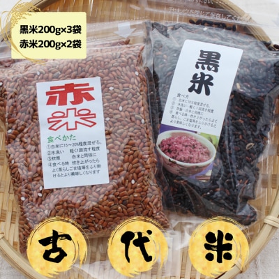 古代米(黒米・赤米)セット 200g×5袋 米 お米 ごはん 健康食品 小分け おにぎり お弁当