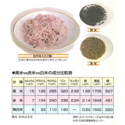 古代米(黒米・赤米)セット 200g×5袋 米 お米 ごはん 健康食品 小分け おにぎり お弁当