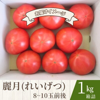 【糖度7度以上】麗月トマト 1kg|冬期育ちの濃厚な甘み・産地直送の完熟トマト