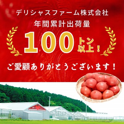 【糖度7度以上】麗月トマト 1kg|冬期育ちの濃厚な甘み・産地直送の完熟トマト