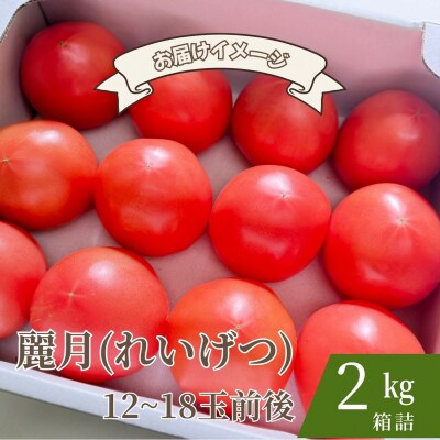 【糖度7度以上】麗月トマト 2kg|冬期育ちの濃厚な甘み・産地直送の完熟トマト