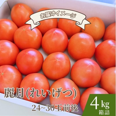 【糖度7度以上】麗月トマト 4kg|冬期育ちの濃厚な甘み・産地直送の完熟トマト