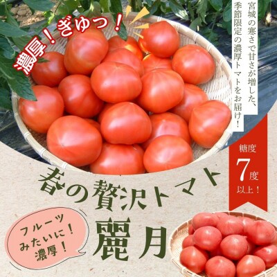 【糖度7度以上】麗月トマト 4kg|冬期育ちの濃厚な甘み・産地直送の完熟トマト