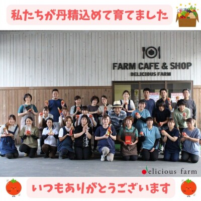 【干し芋】紅はるか バラエティセット|平干し・スティック・丸干しの3種食べ比べ