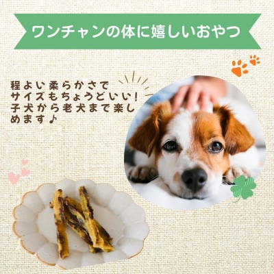 【犬のおやつ】干し芋 やわらかスティック 5袋セット|紅はるか使用・無添加で食べやすいご褒美おやつ