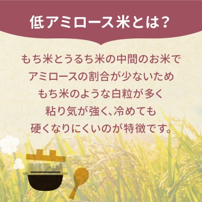【令和7年産】宮城県大崎市産 ゆきむすび 5kg