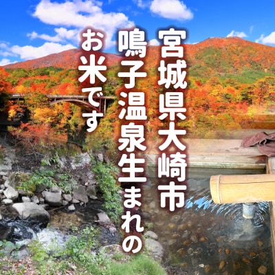【令和7年産】宮城県大崎市産 ゆきむすび 10kg